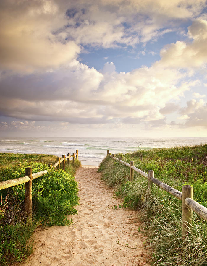 Nature Photograph - Walkway To Beach by Turnervisual