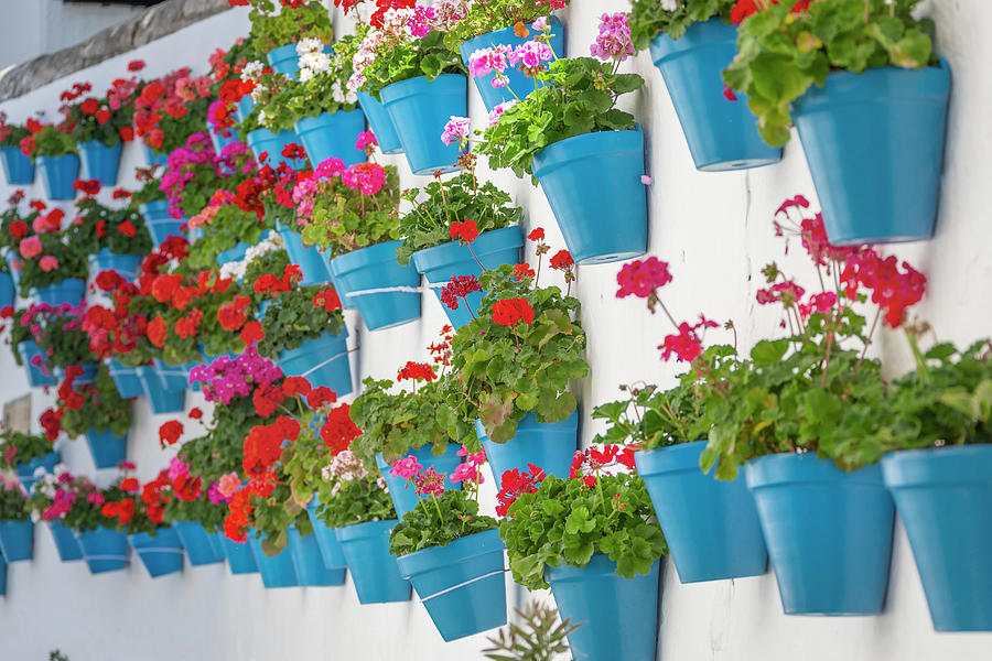 Wall Decorated With Geraniums In Calle Carmen Street, Marbella, Malaga, Andalusia, Spain Digital Art by Marc Hohenleitner