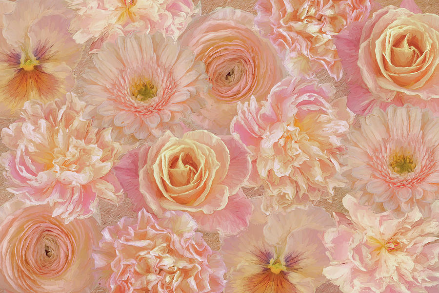 Summer Photograph - Wall Flowers Apricot-pink by Cora Niele