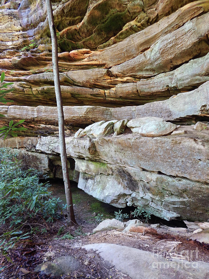Wall of Layered Sandstone Photograph by Phil Perkins