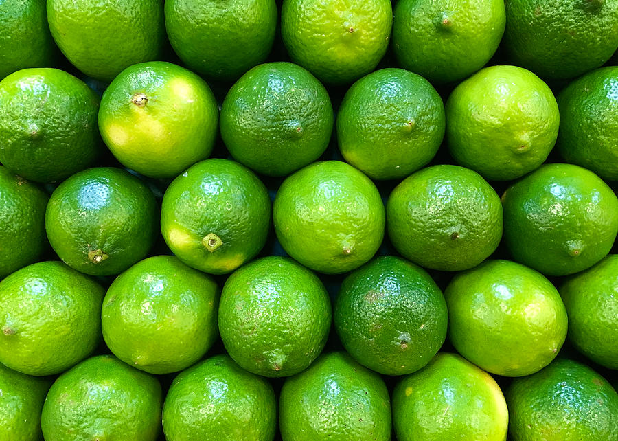 Wall of Limes by Nathan Little Wall of Limes by Nathan Little