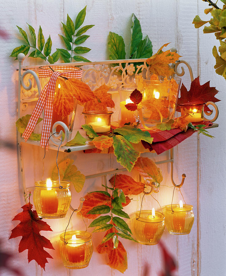Wall Shelf Decorated With Autumn Leaves Of Acer, Parrotia Photograph by Friedrich Strauss