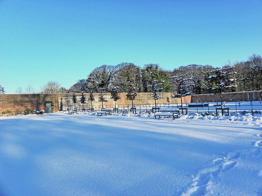Walled Garden in The Snow Photograph by Lachlan Main