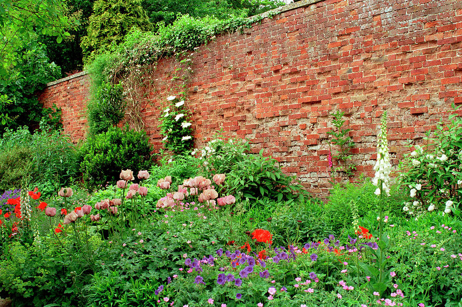 Walled garden summer flowers border Photograph by Seeables Visual Arts