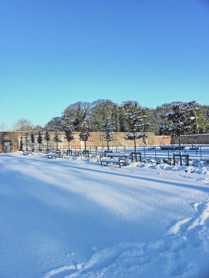 Walled Garden Winter Landscape Photograph by Lachlan Main