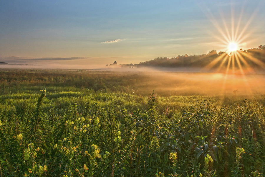 Flower Photograph - Wallkill River Wildlife Refuge Sunrise by Angelo Marcialis