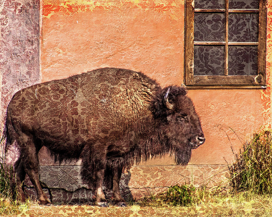 Wallpaper Bison Photograph by Mary Hone