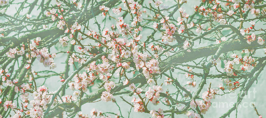 8x12 FT Cherry Blossom Vinyl Photography Backdrop,Dreamy Japanese Nature in Spring Theme Sakura Tree Branch Artwork Background for Party Home Decor Outdoorsy Theme Shoot Props 