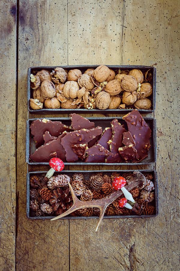 Walnut Chocolate For Christmas Photograph by Eising Studio