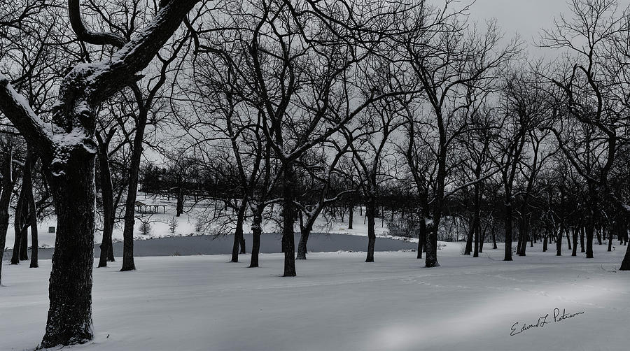 Walnut Grove In Winter Photograph by Ed Peterson