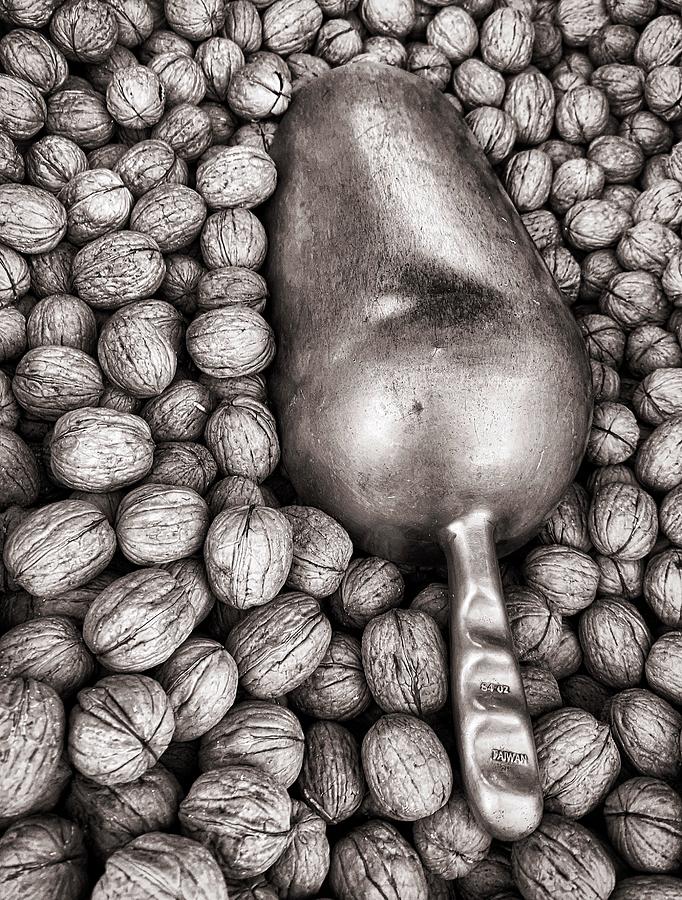 Walnut Harvest Photograph by Steph Gabler