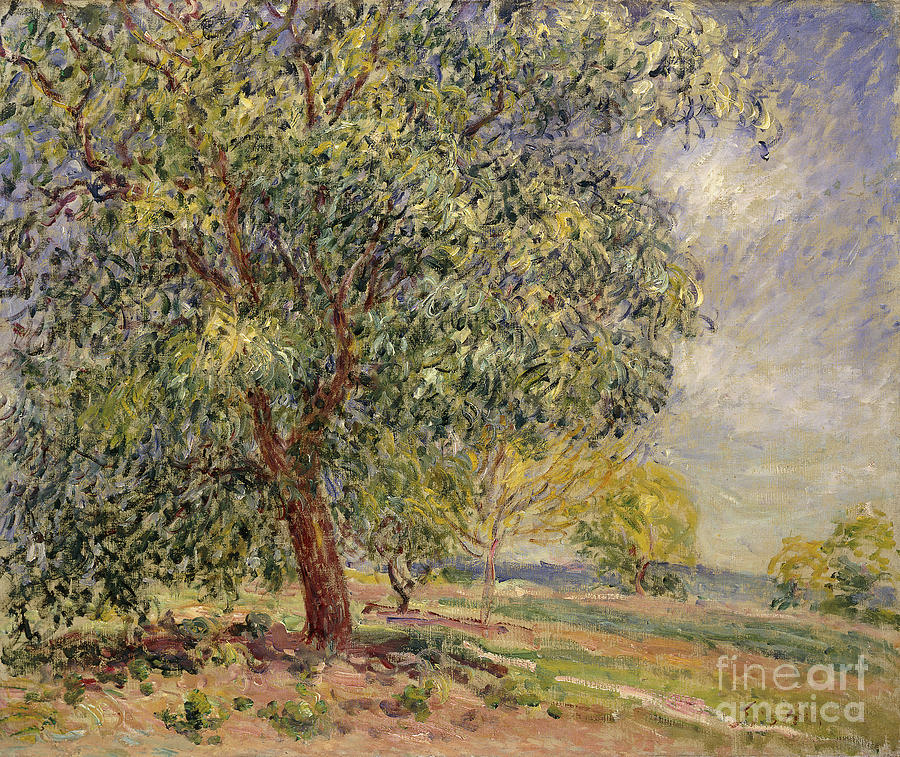 Walnut Tree At Sablons In Spring; Noyers Aux Sablons, Primptemps, 1885 ...