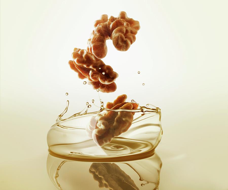 Walnuts Falling Into Walnut Oil Photograph by Krger & Gross