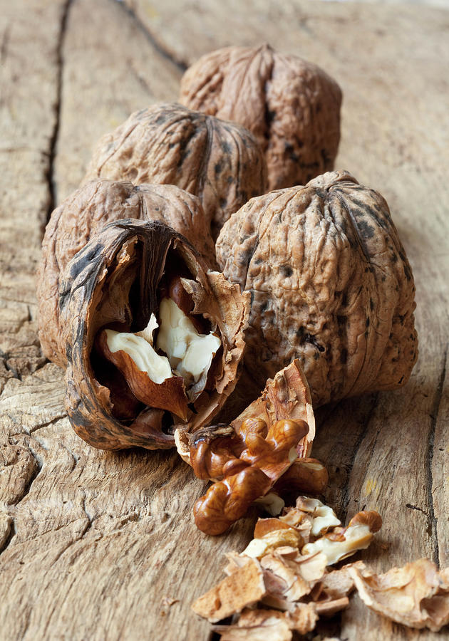 Walnuts In Shells, With One Opened Photograph by Hilde Mche