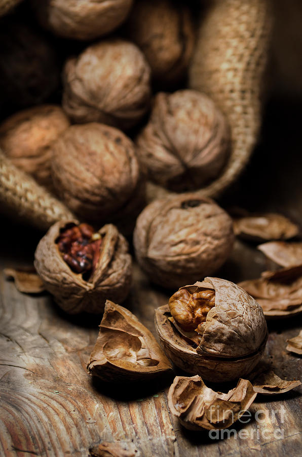 Walnuts Photograph by Jelena Jovanovic