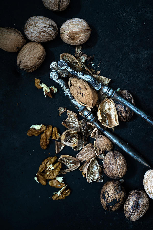 Walnuts With A Nutcracker Photograph by Elisabeth Von Plnitz-eisfeld