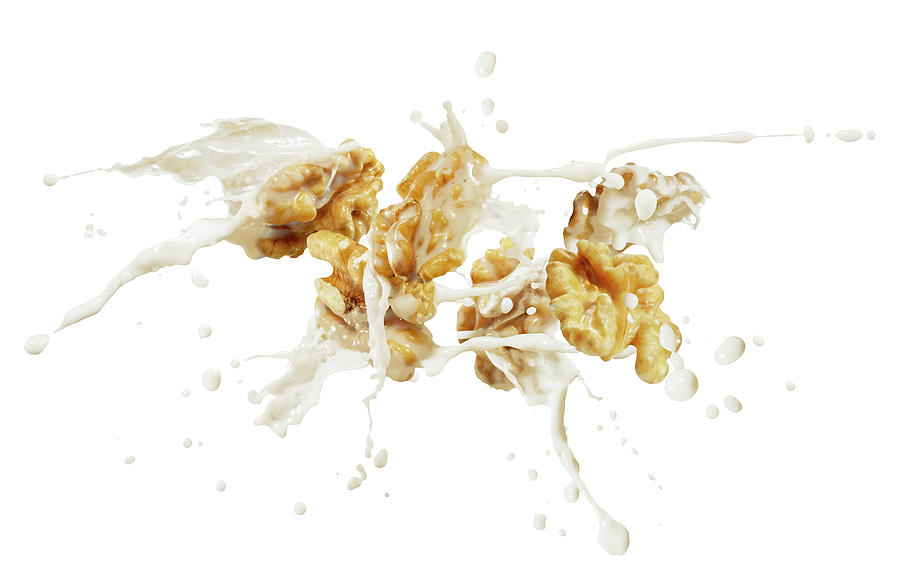 Walnuts With A Splash Of Milk Photograph by Krger & Gross