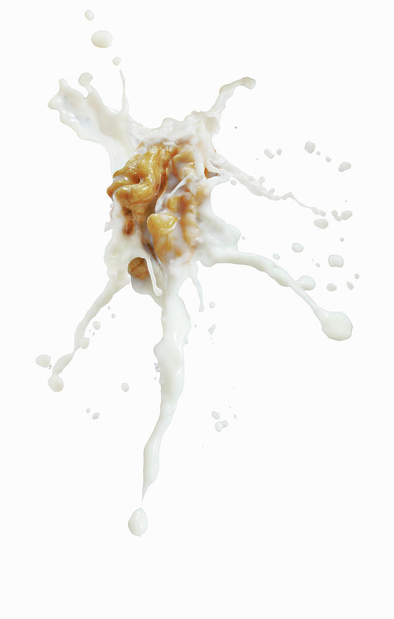 Walnuts With A Splash Of Milk Photograph by Petr Gross