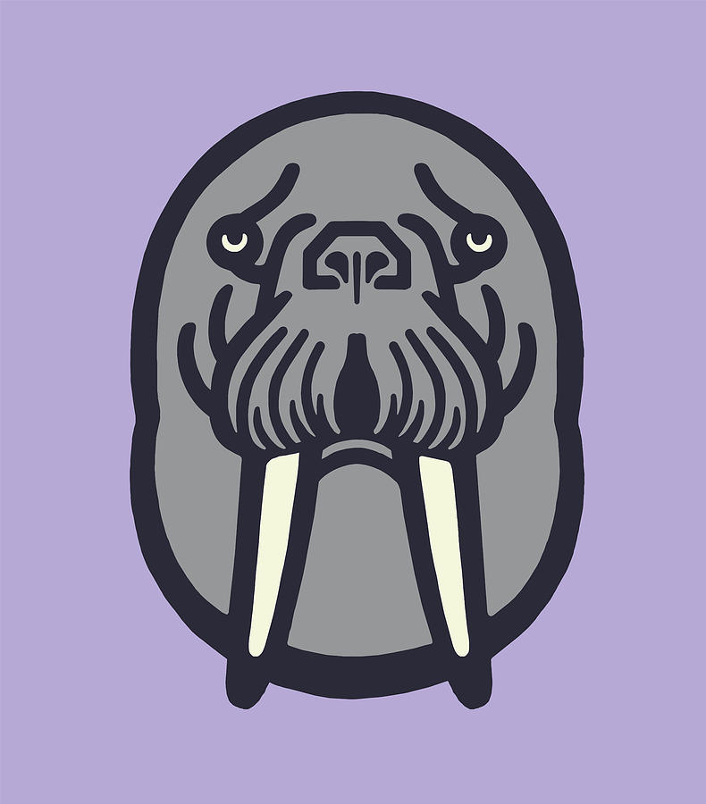 walrus face drawing