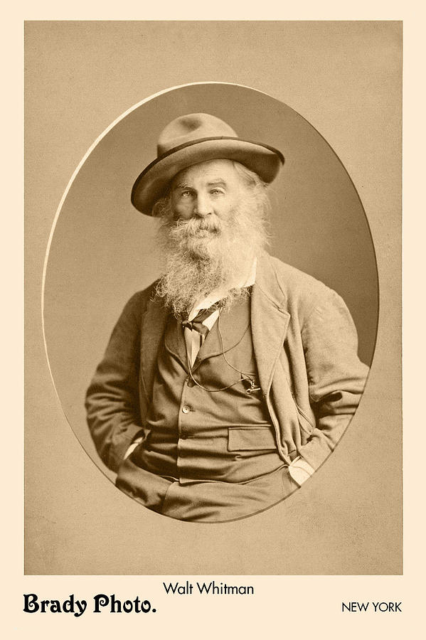 Walt Whitman By Mathew Brady Painting