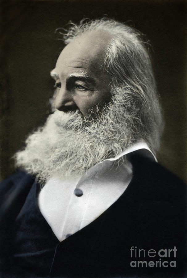 Walt Whitman Portrait Photograph by Unknown - Fine Art America