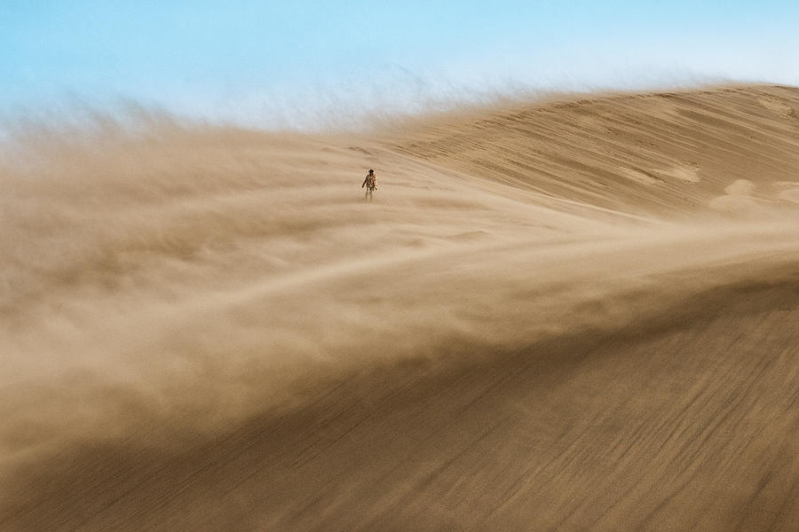Desert Photograph - Wanderer by Alesya Osadchaya