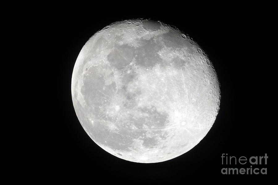 Space Photograph - Waning Gibbous Moon by John Devries/science Photo Library