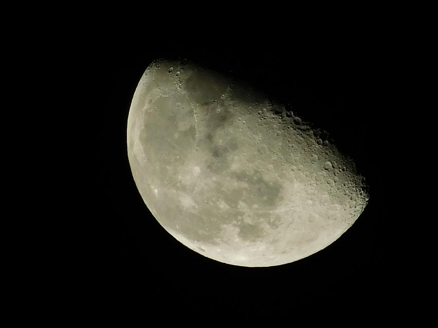 - Waning moon Photograph by THERESA Nye