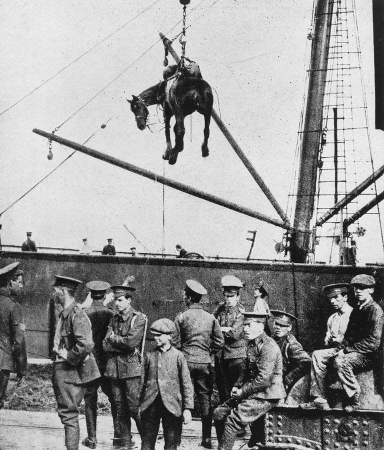 War Horse Arrives In France Photograph by Hulton Archive