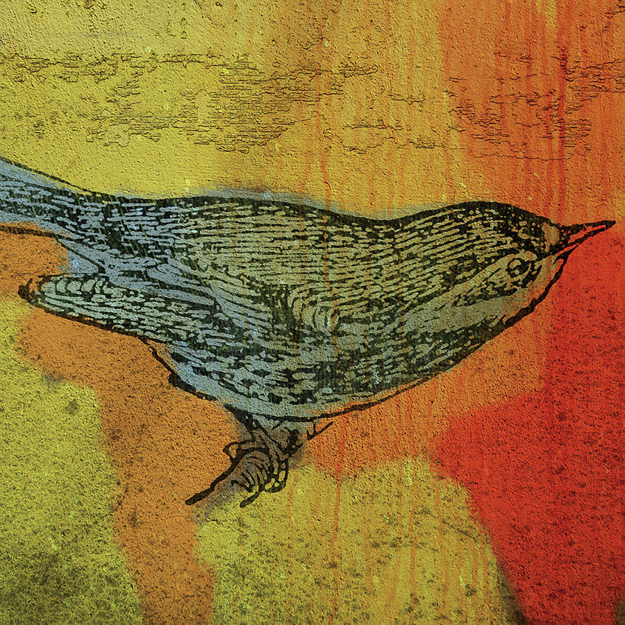 Bird Digital Art - Warbler 1 by John W. Golden