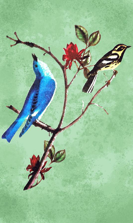 Warbler And Bluebirds 2 Drawing by Francis G. Mayer