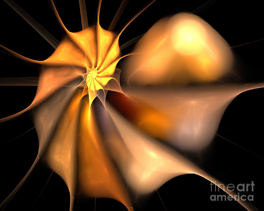 Abstract Digital Art - Warm Cinnamon Nautilus by Kim Sy Ok
