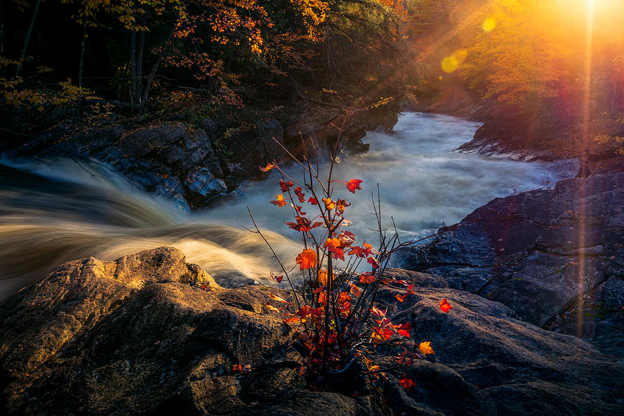 Warm Sunshine In Autumn Photograph by Steven Zhou