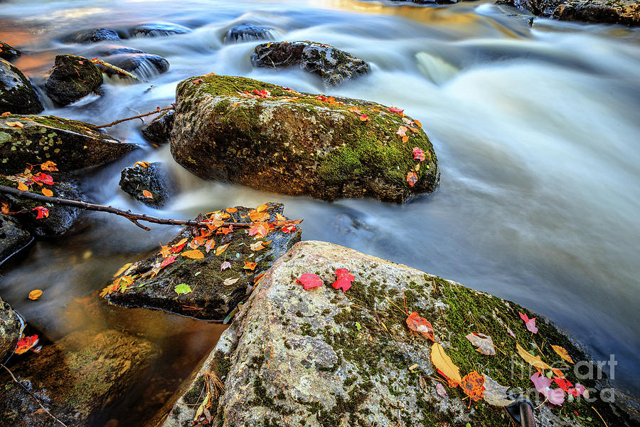 Fall Photograph - Warner River Flow by Edward Fielding