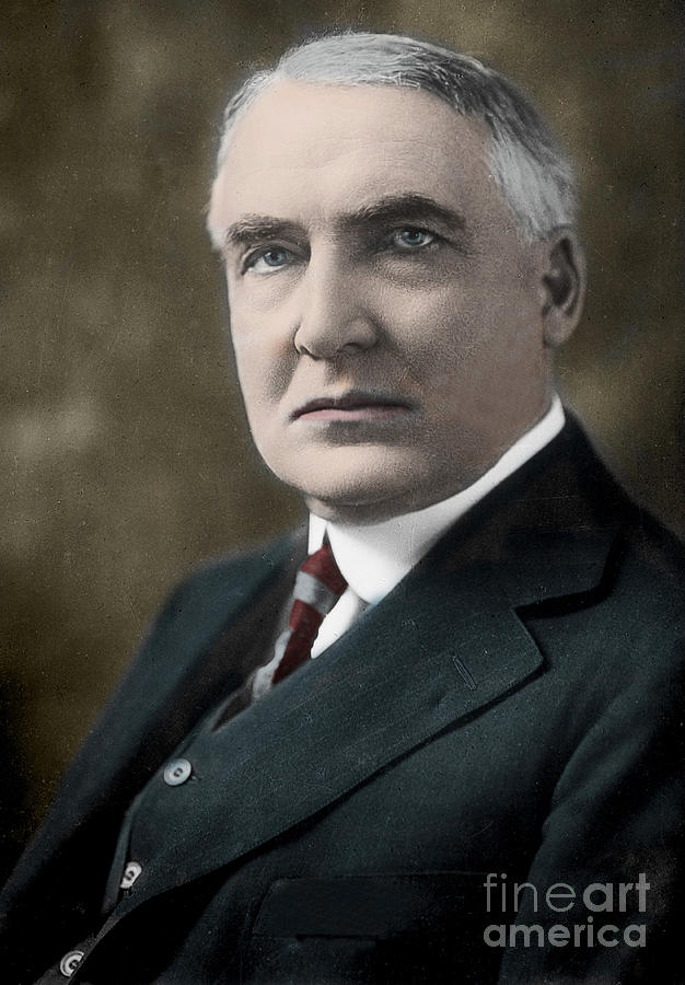 Portrait Photograph - Warren Gamaliel Harding, 29th President Of The United States by American School