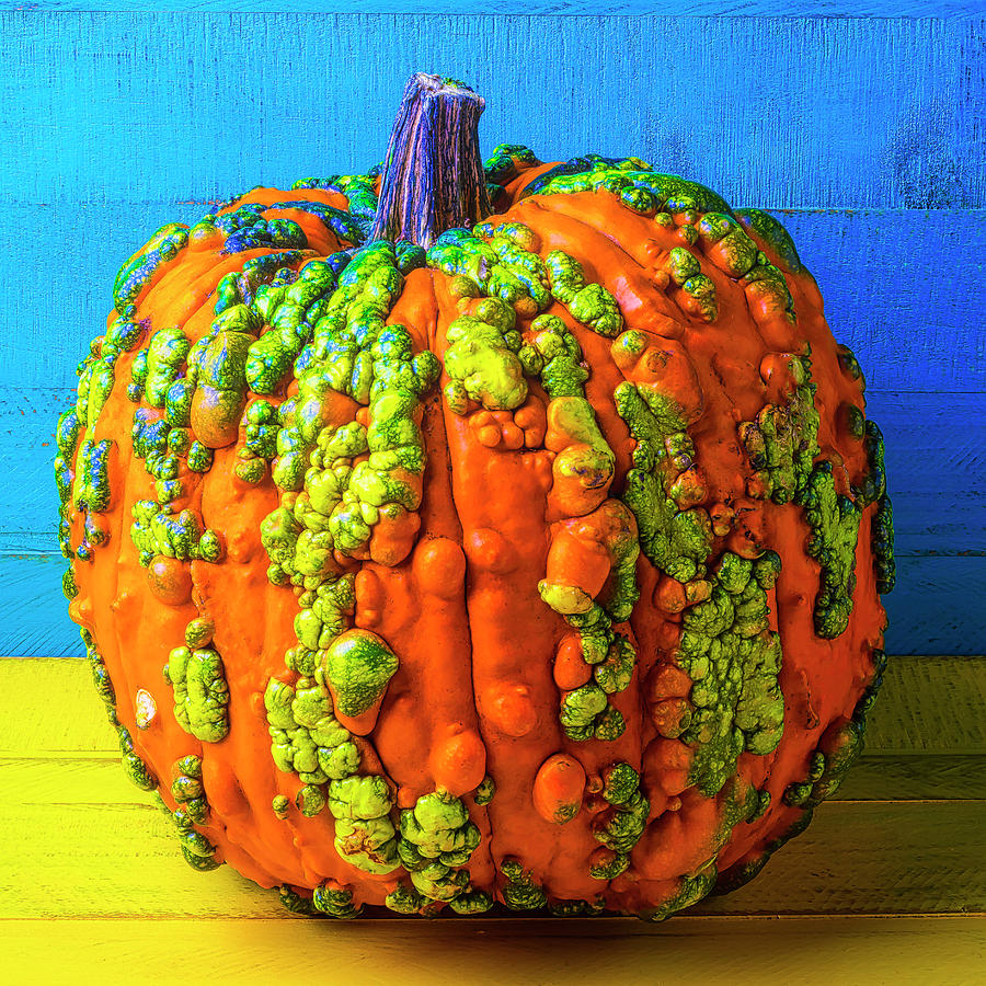 Pumpkin Photograph - Warty Pumpkin by Garry Gay