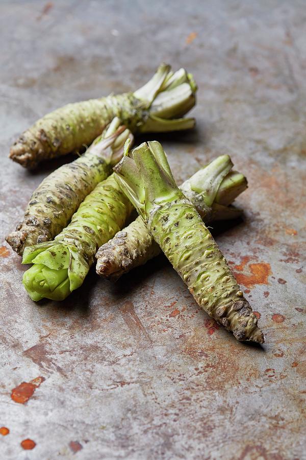 Wasabi Roots Photograph by Liv Friis - Fine Art America