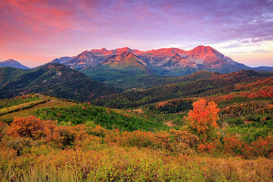 Fall Photograph - Wasatch Back Autumn Morning by Wasatch Light