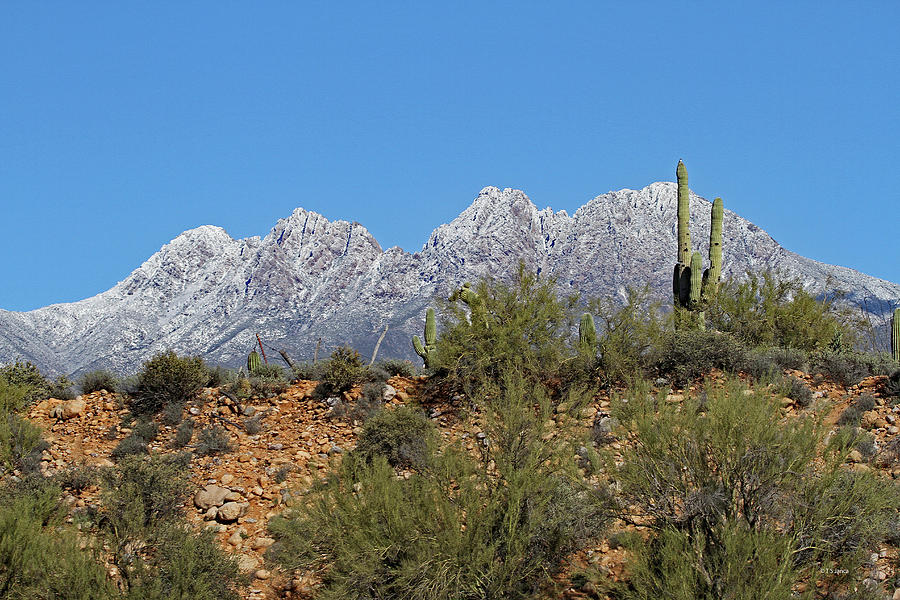Wash Bank Saguaro And Four Peaks With Snow Digital Art by Tom Janca