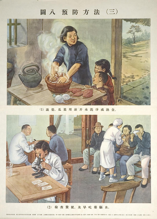 Wash Fruits & Vegetables & Take Anti-Hookworm Drugs Painting by Chinese Communist Government