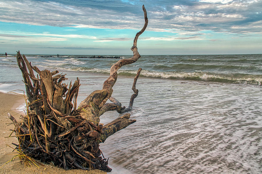 Washed Ashore Photograph by Jerry Gammon