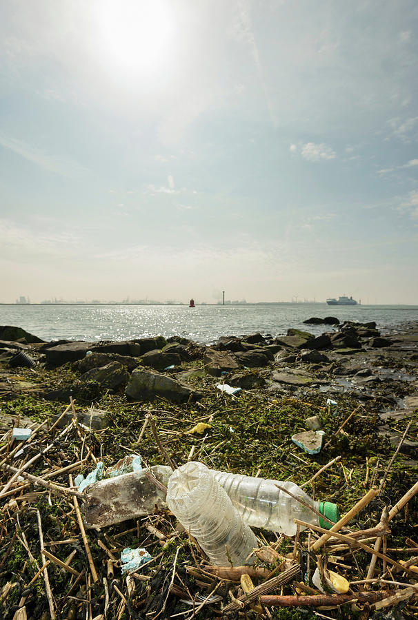 Nature Digital Art - Washed Up Plastic Bottles On Wasteland, Rotterdam Harbor by Mischa Keijser