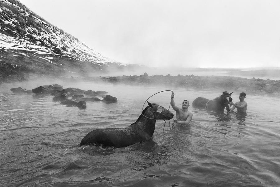 Turkey Photograph - Washing The Horse by zden Szen