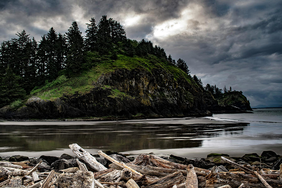 Washington Coastline Photograph