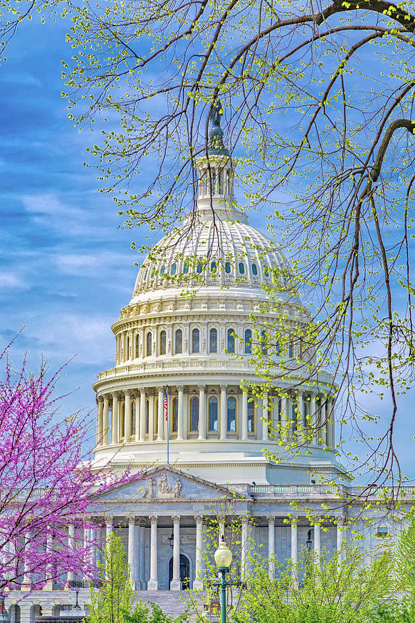 Washington Dc Capitol Springtime Photograph
