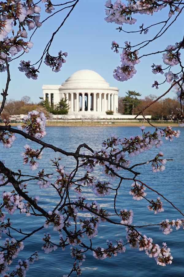 Washington Dc Jefferson Memorial Photograph by Jodijacobson