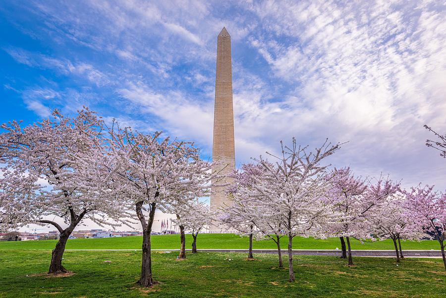 Spring Photograph - Washington Dc, Usa In Spring Season by Sean Pavone