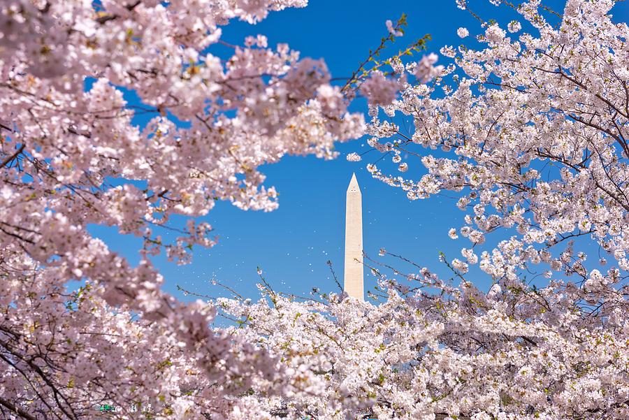 Spring Photograph - Washington Dc, Usa With The Washington by Sean Pavone
