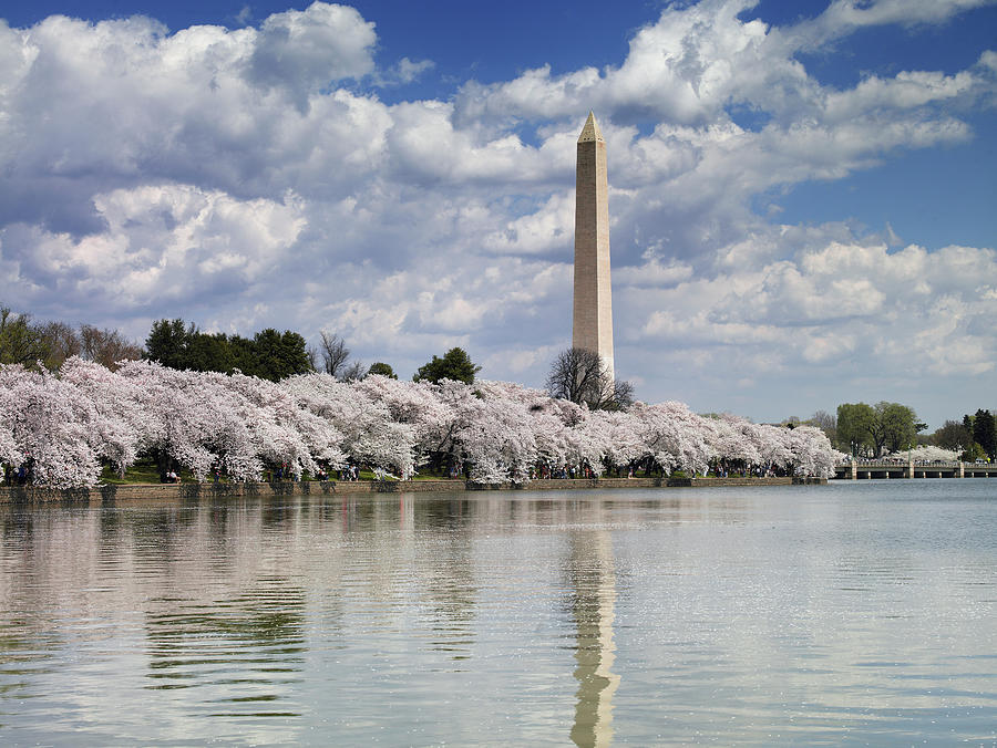 Washington Monument & Tidal Basin Painting by Carol Highsmith Washington Monument & Tidal Basin Painting by Carol Highsmith