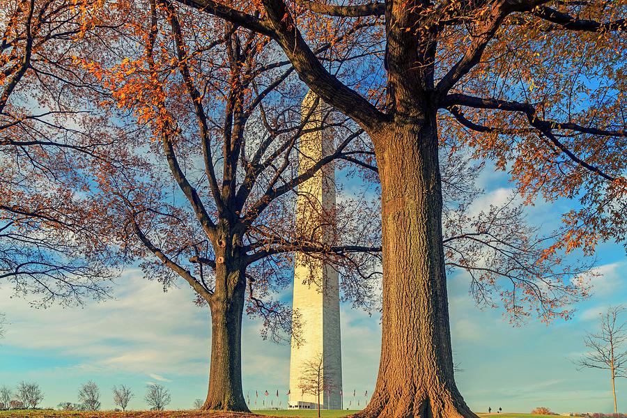 Washington D.c. Digital Art - Washington Monument, Washington Dc by Laura Zeid